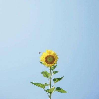 亚投国际首页 亚投国际首页