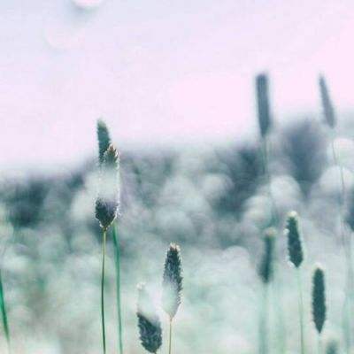 伊朗称收到美国信息,“正予以审视”!美国被曝向多国索要保护费:花2.5万亿美元结束战争